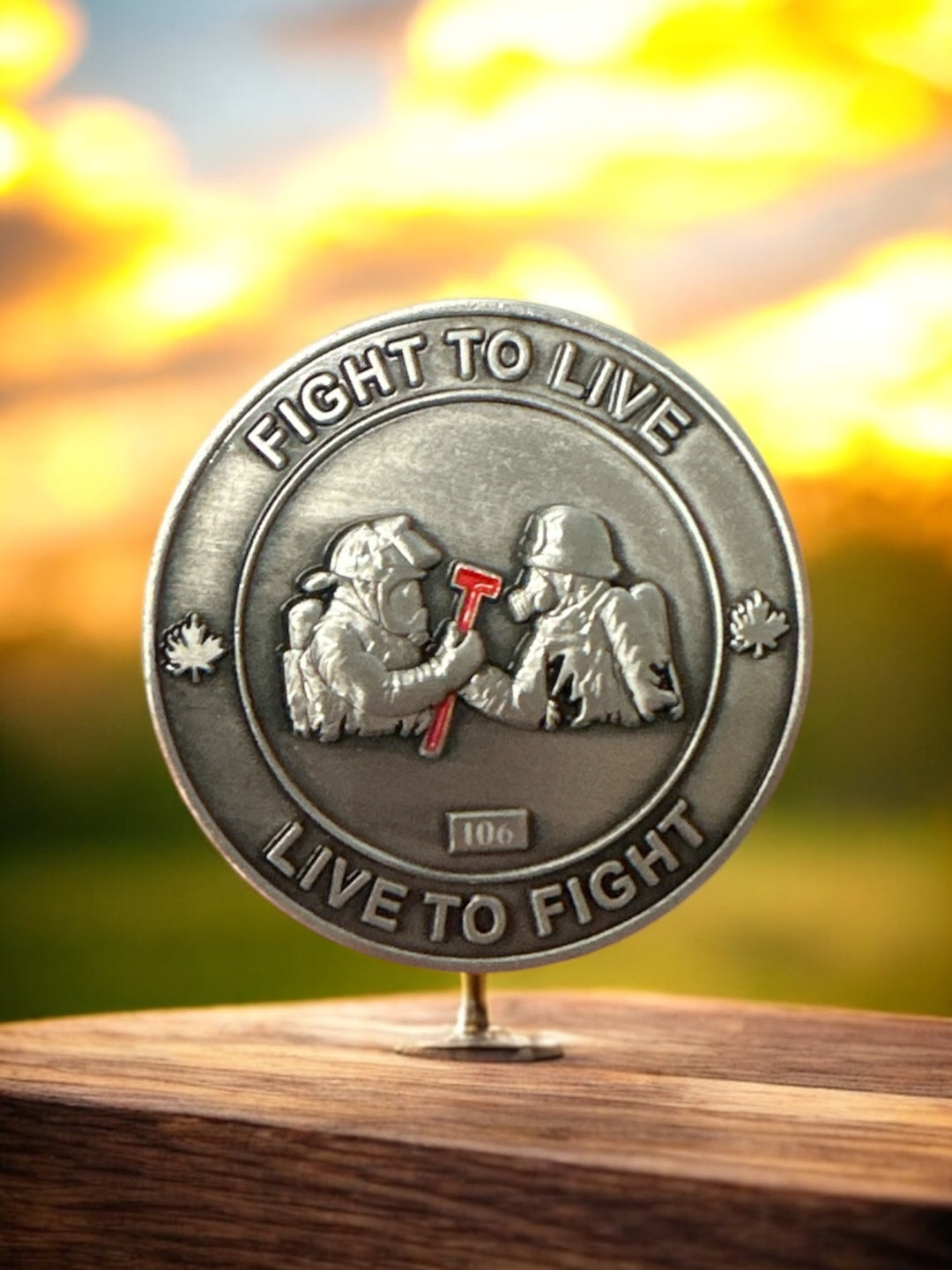 Challenge Coins  - Firefit