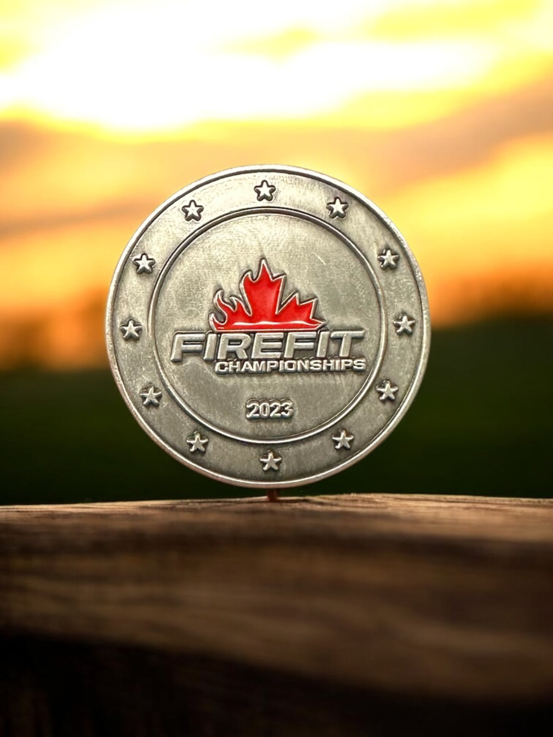 Challenge Coins  - Firefit